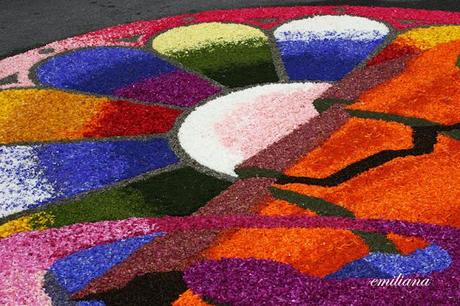 L'infiorata di Spello