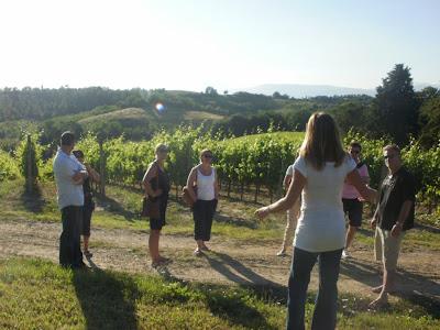 Wine tour and tasting a Villa Petriolo