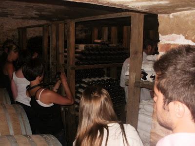 Wine tour and tasting a Villa Petriolo