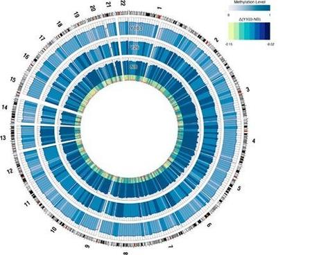 Invecchiamo con un DNA meno metilato