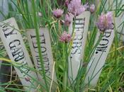 garden marker_cartellinatura orto