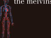 Melvins Freak Puke