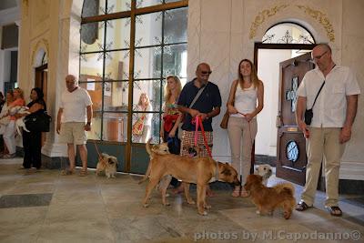 Positano: La Festa di San Vito ...