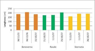 Valutazione di specie da fronda recisa a basso imput in tre località dell’Italia Meridionale