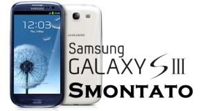 Samsung Galaxy S III smontato - Logo