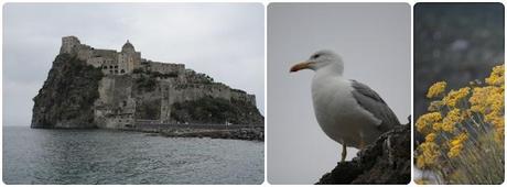 Ischia: mon amour