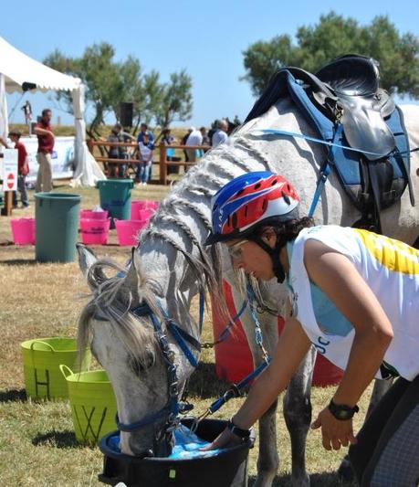 Conero Endurance Cup.