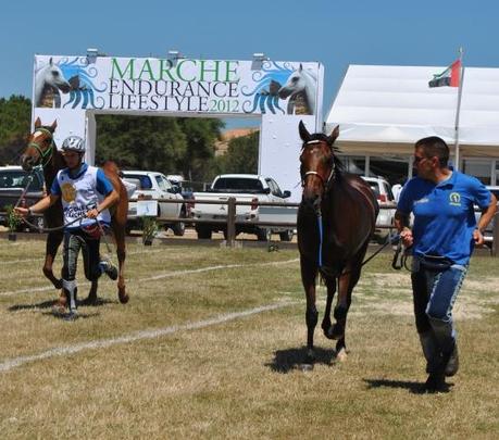 Conero Endurance Cup.