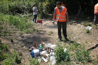 Ottava edizione del Decoro Day al Pineto