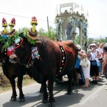 Arbus: va di scena il pellegrinaggio a Sant'Antonio di Santadi