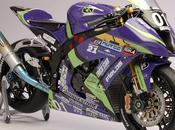 Kawasaki ZX-10R Trick Star 2011 Utage Factory House (Fujimi)