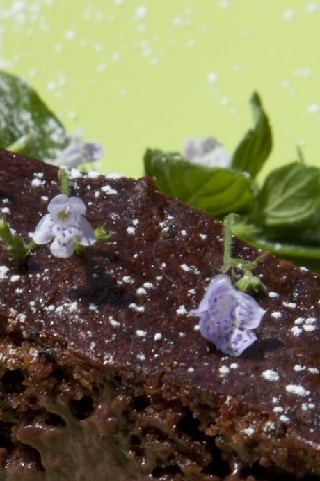 Torta ripiena con fiori di menta e monologo