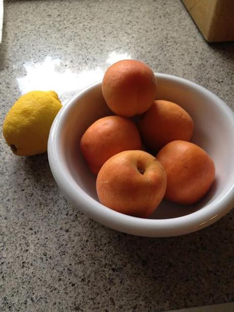 HOMEMADE APRICOT JAM