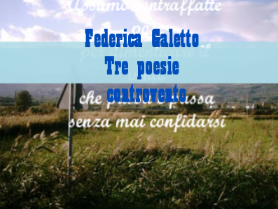 Federica Galetto • Tre poesie controvento