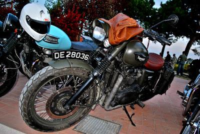 Antonio's Great Escape