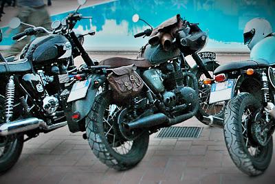 Antonio's Great Escape