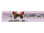 Contest letterario fazi editore: "leggi. scrivi. vinci sogno!"