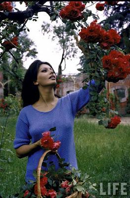 La bellissima casa di Sophia Loren