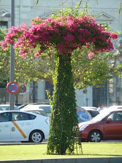 Siviglia, qualche giorno fa...