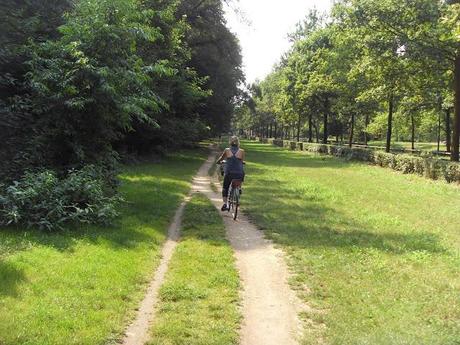 EXERCISE AT THE PARK