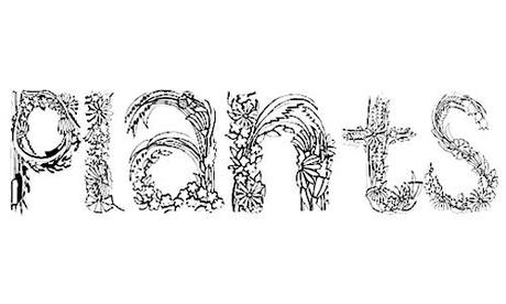 flower free font