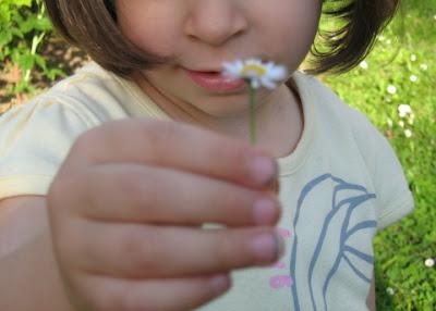 I MIEI STRALCI DI PRIMAVERA