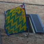 bandiera della contrada del bruco