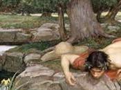 Narciso: cronache pidiellene