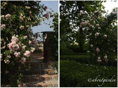 giardino privato nel Monferrato Casalese