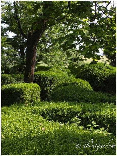 giardino privato nel Monferrato Casalese