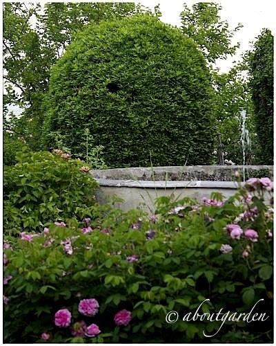 giardino privato nel Monferrato Casalese