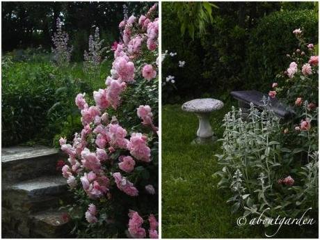 giardino privato nel Monferrato Casalese