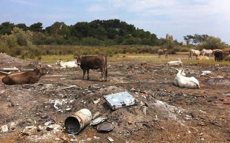 FOTO - Sviluppo turistico sul Gargano (?)