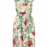 Multifloral Dress Dorothy Perkins