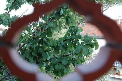 Dettagli di una serata estiva qualsiasi.