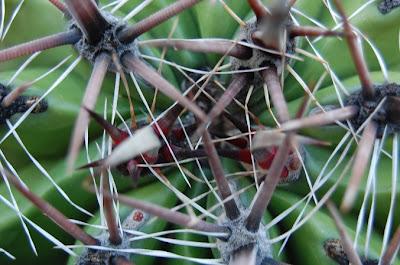 Dettagli di una serata estiva qualsiasi.