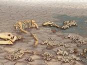 Quando sulla Terra tutto estinse