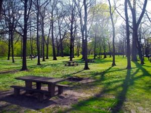 Estate: gite in spiaggia o nel bosco? Non dimentichiamo l’ecosostenibilità. Ecco il cesto da pic nic a… Minimo Impatto