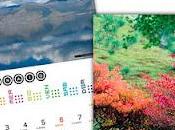 Lega Filo d'Oro: calendario della fotografa umanitaria Milandri sostenere sordociechi