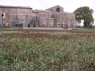 passeggiata archeologica, yoga all'aperto, musica dal vivo, pranzo con prodotti locali e ricette etrusche e arabe!