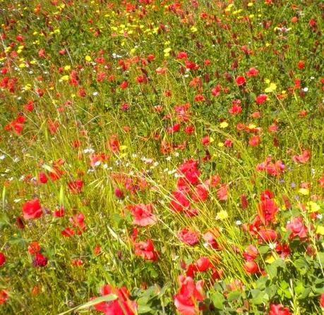 In viaggio con… due sorelle nella Tuscia.