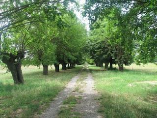 L'assalto alla collina di Cabriolo