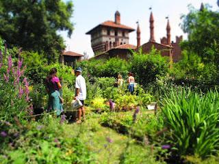 il giardino visitato_ Giardino del Borgo Medievale di Torino il giardino visitato_ Giardino del Borgo Medievale di Torino