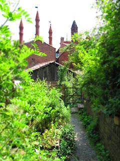 il giardino visitato_ Giardino del Borgo Medievale di Torino il giardino visitato_ Giardino del Borgo Medievale di Torino