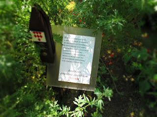 il giardino visitato_ Giardino del Borgo Medievale di Torino il giardino visitato_ Giardino del Borgo Medievale di Torino
