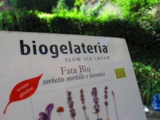 il giardino visitato_ Giardino del Borgo Medievale di Torino il giardino visitato_ Giardino del Borgo Medievale di Torino