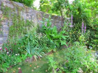 il giardino visitato_ Giardino del Borgo Medievale di Torino il giardino visitato_ Giardino del Borgo Medievale di Torino