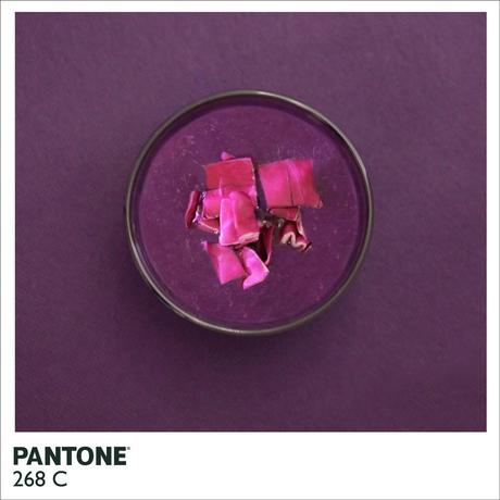 Il Pantone secondo Alison Anselot