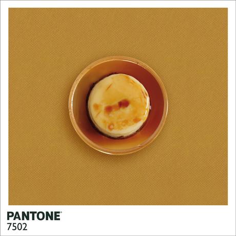 Il Pantone secondo Alison Anselot