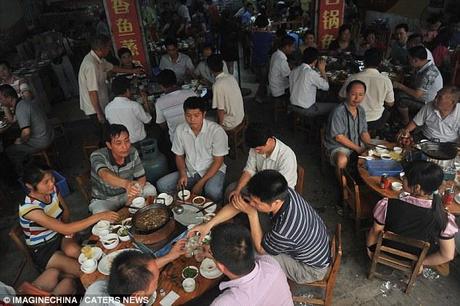 Dog dining: People tuck into dog meals in a restaurant in China in a grim tradition